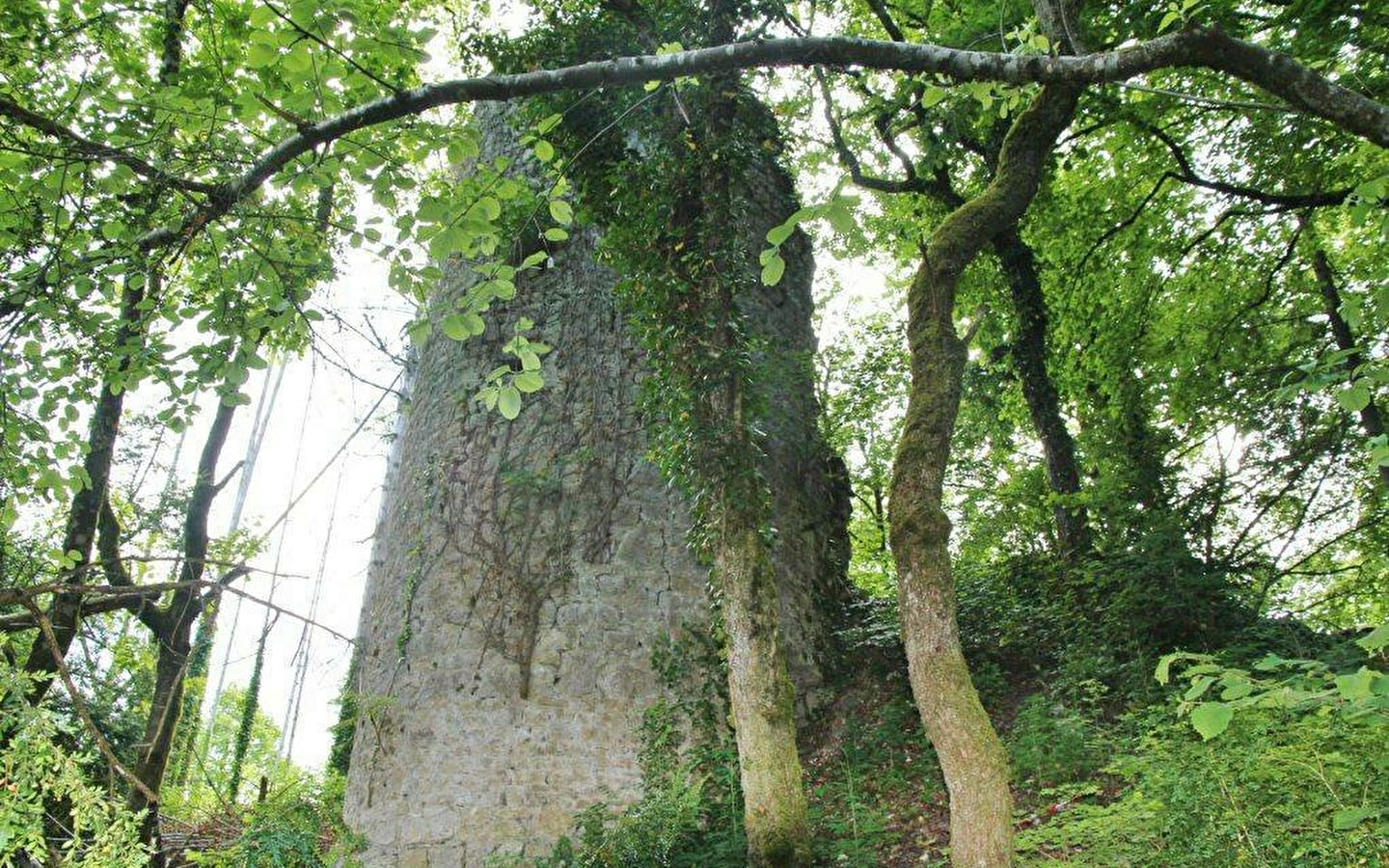 Castrum de Montdidier