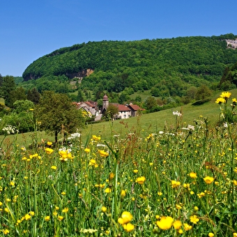 La Reculée de Blois-sur-Seille - BLOIS-SUR-SEILLE