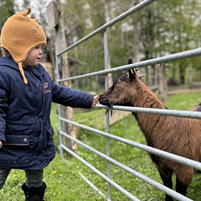 Lama Loisir Mamirolle
