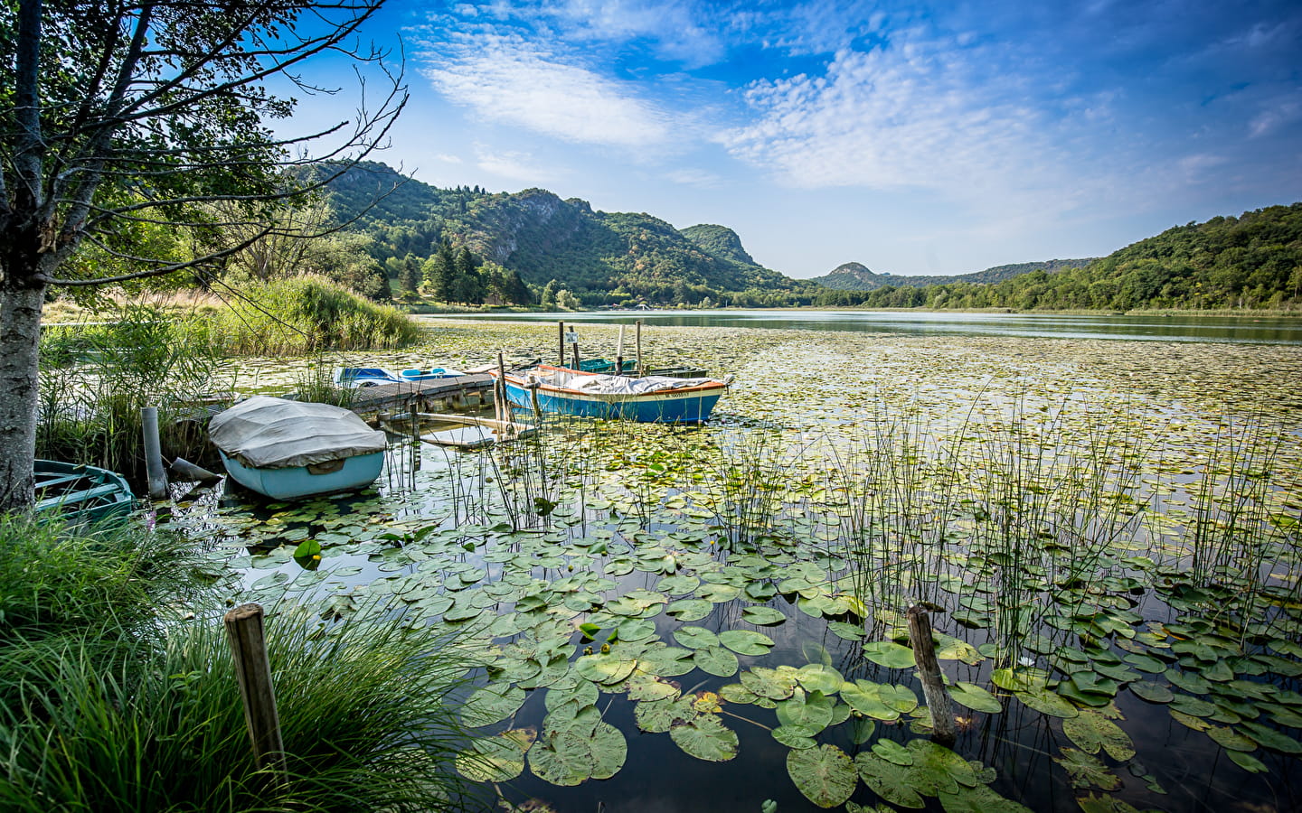 Lac de Barterand, ENS de l'Ain