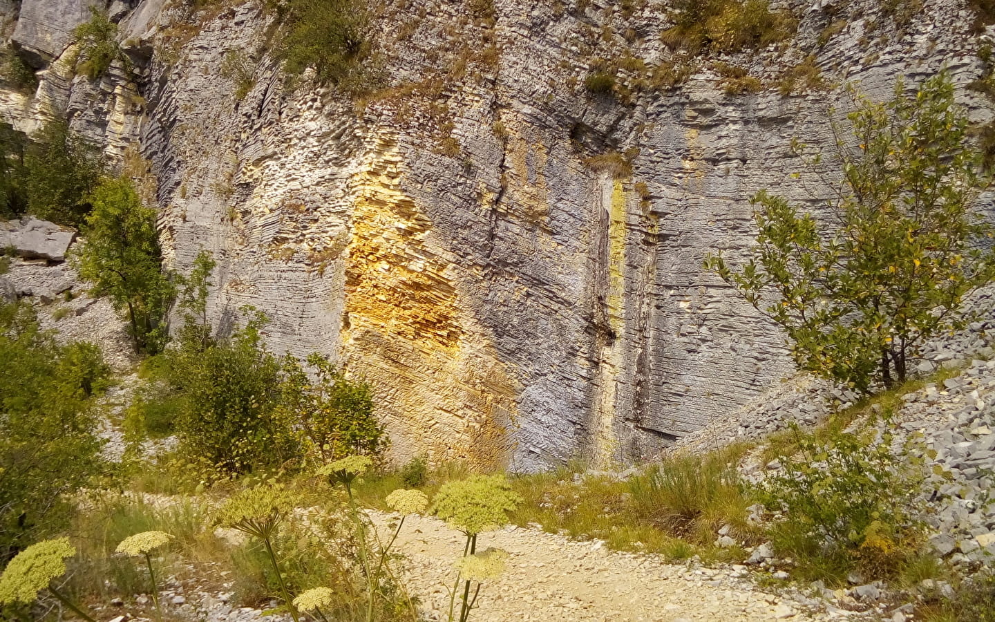 La carrière de Cerin, ENS de l'Ain