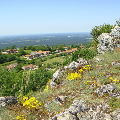 Chapelle Notre-Dame des Conches