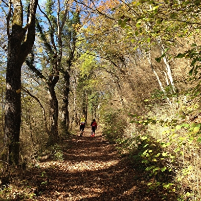 Parcours trail : montée du Grand Colombier depuis Culoz