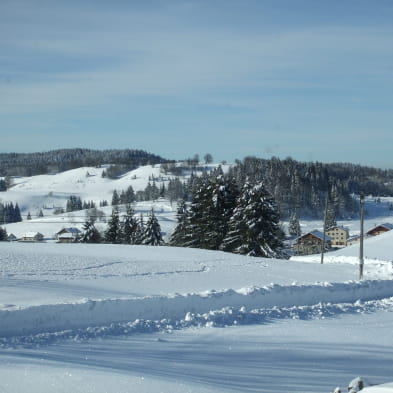 La Maison de Teiss