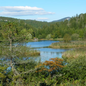 Lac de Chanon - MARTIGNA