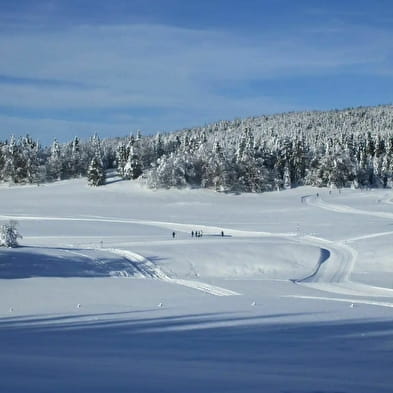 Piste de Ski de fond : La Girantette