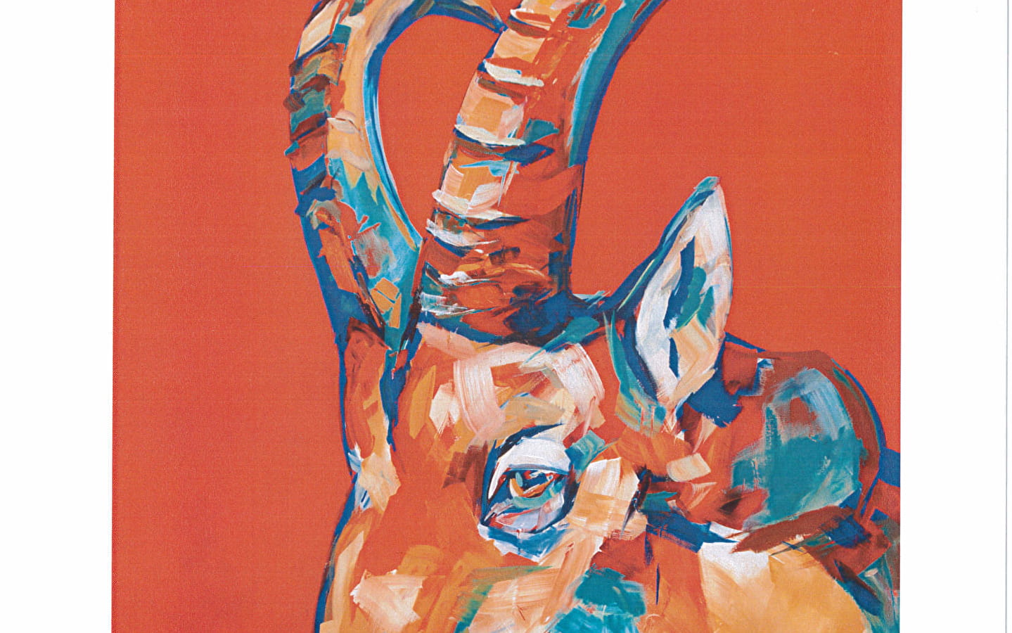 Exposition : 'Regard animal'