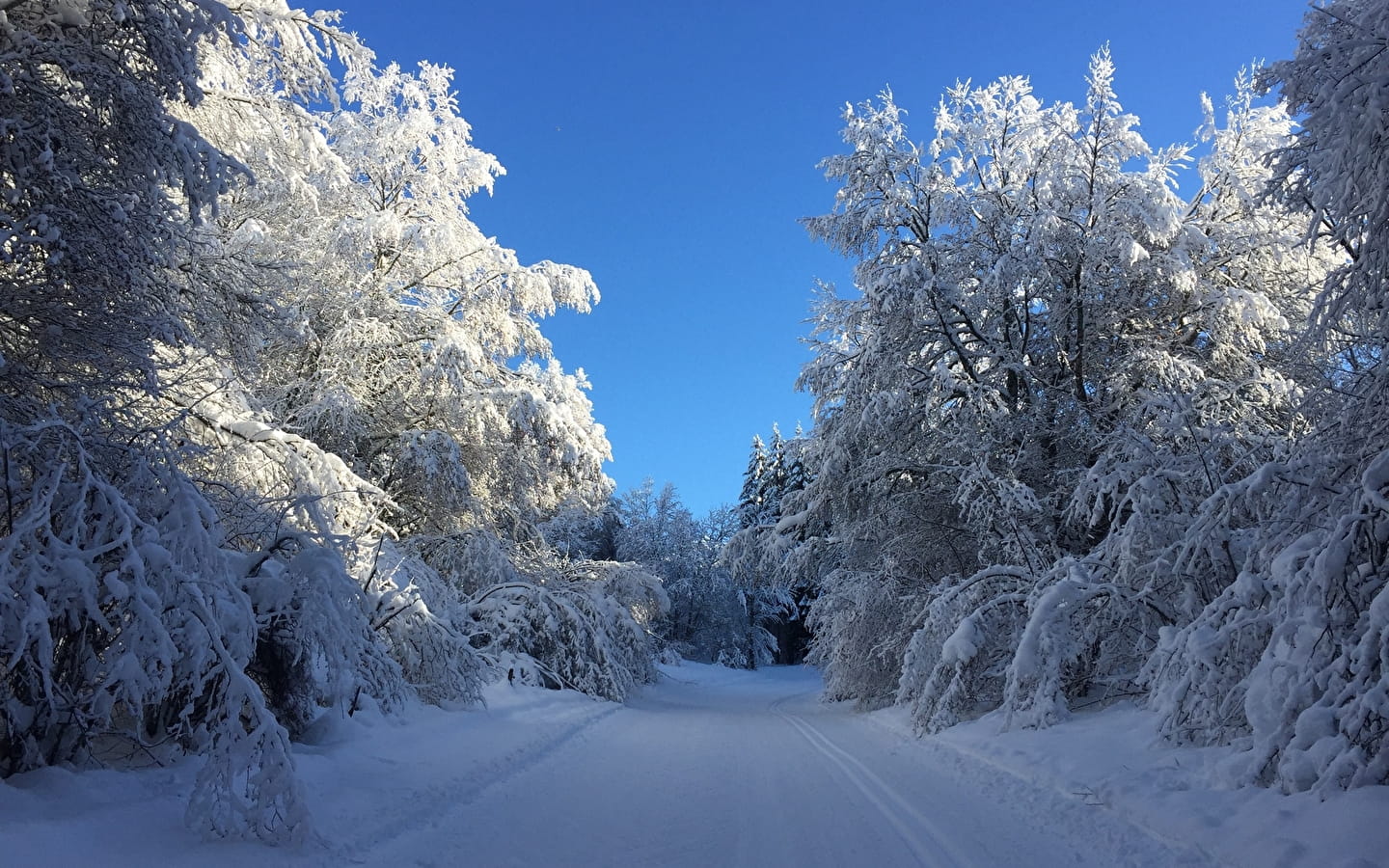 Piste bleue de ski de fond du Plateau de Retord : Le Balcon des Plans