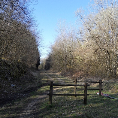 Le Pommeret