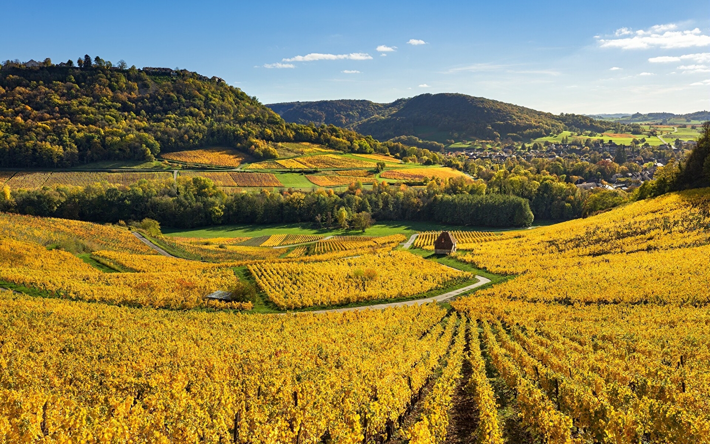 Le Tour de Château-Chalon à VTT - 5R