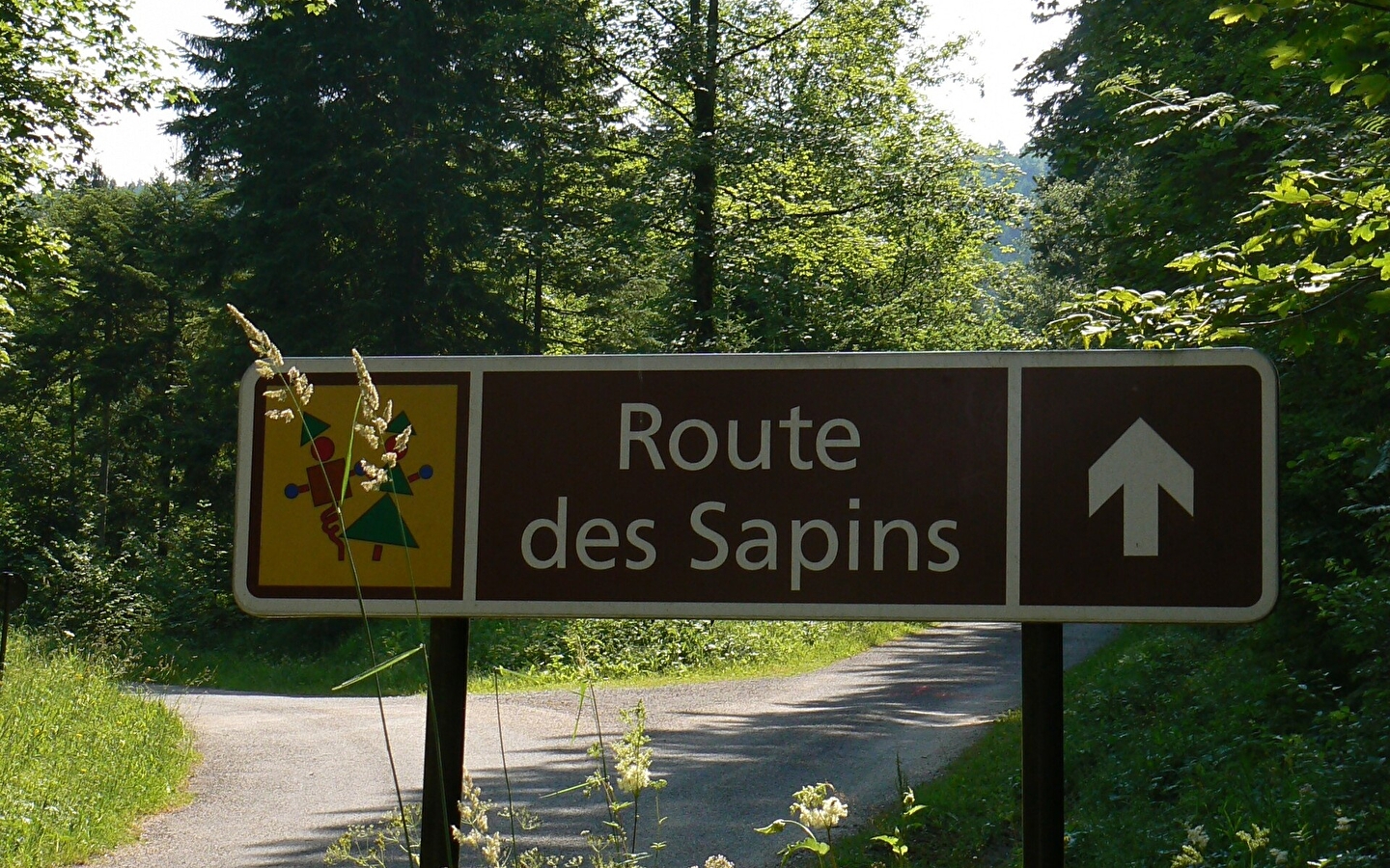 La Route des Sapins
