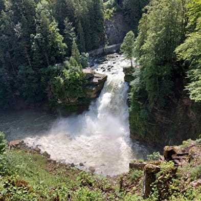 Les bassins et le Saut du Doubs