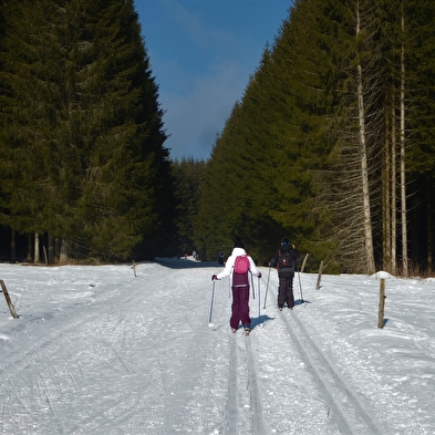 Piste de ski de fond de Lachat : petite verte