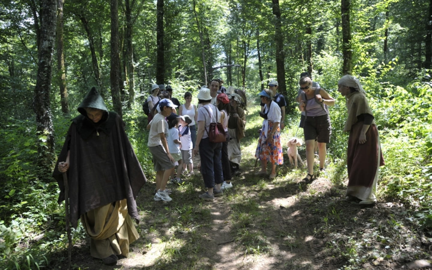 La Forêt de Chailluz