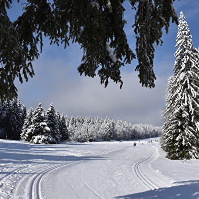 Le Plateau de Retord