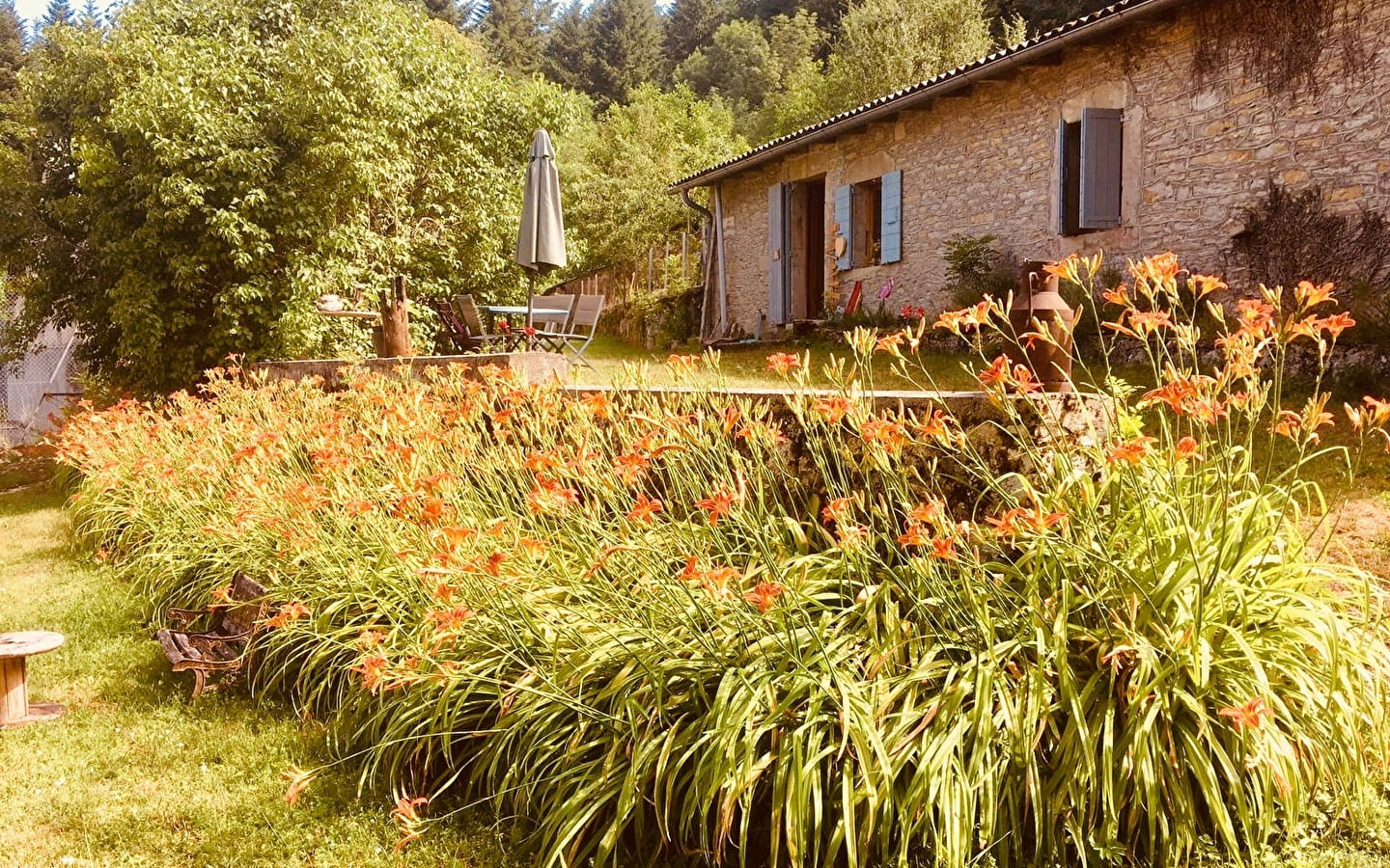 Gîte Le Petit Dehors