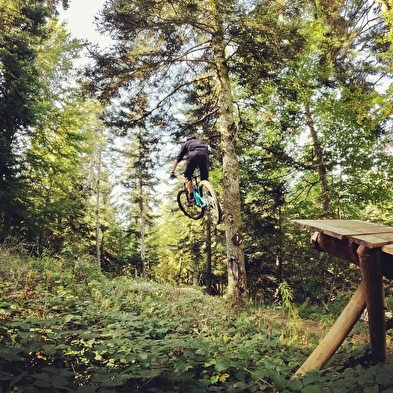 Piste VTT Descente noir - Cormavalanche - Espace Ain Forestière