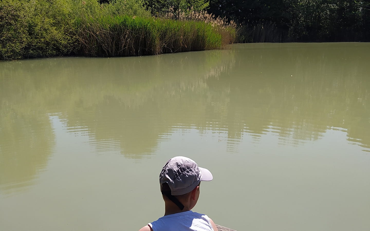 Etang de Colovrex, ENS de l'Ain