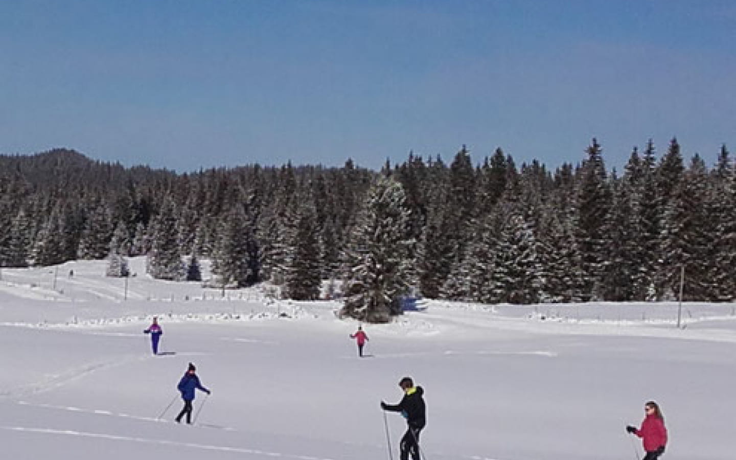Stage en classique : skieur débutant