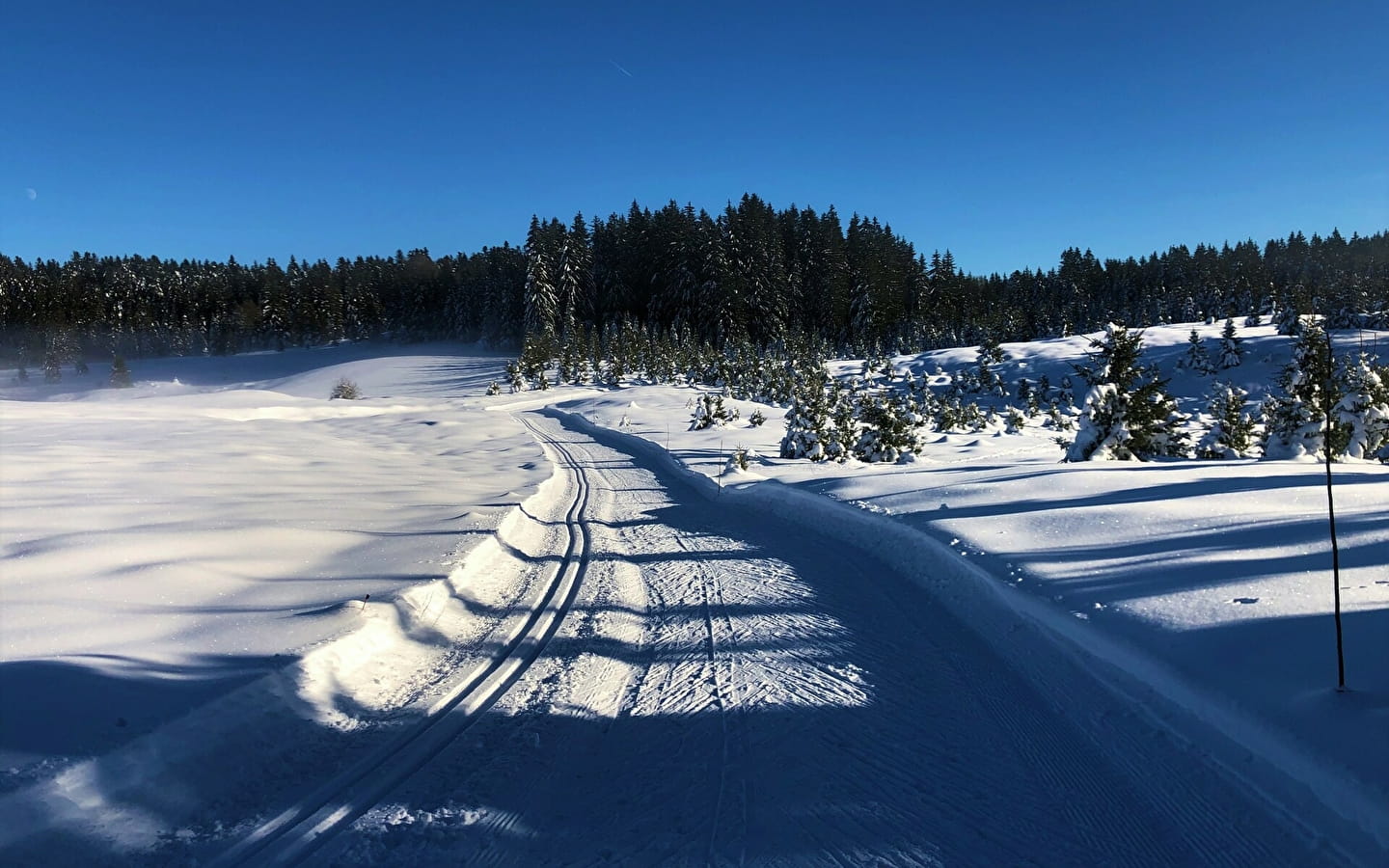 Piste bleue de ski de fond de Lachat : La Chandeleuse