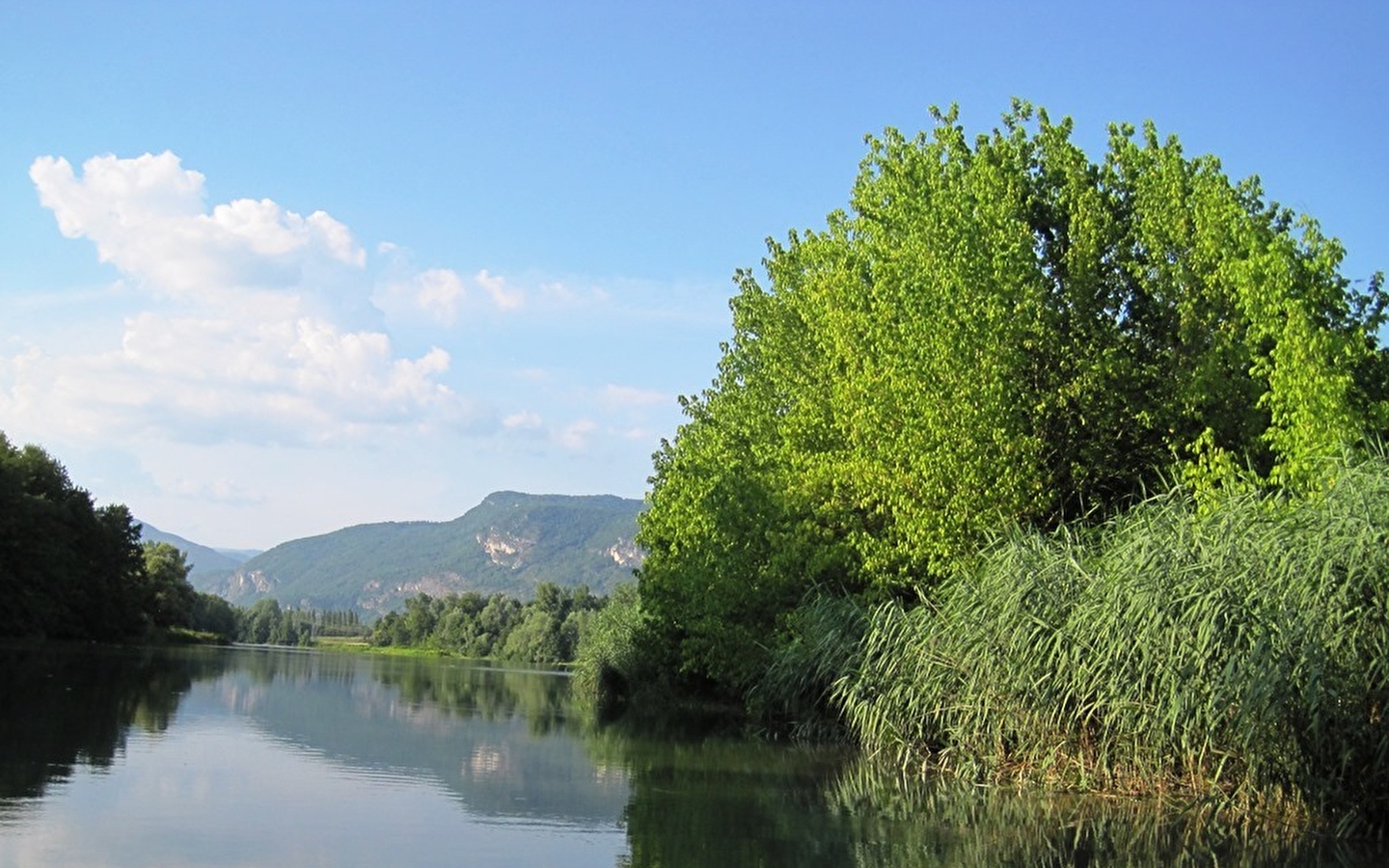 Réserve Naturelle du Haut-Rhône Français