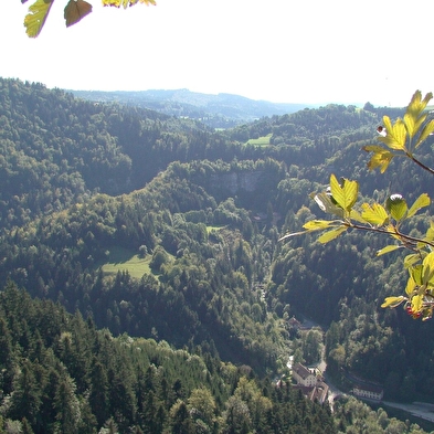 Chauve Roche