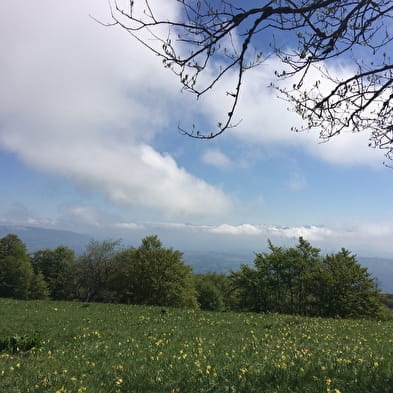 Sur Lyand / Grand Colombier