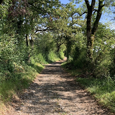 Randonnée - Circuit Condamine autour d'Izernore