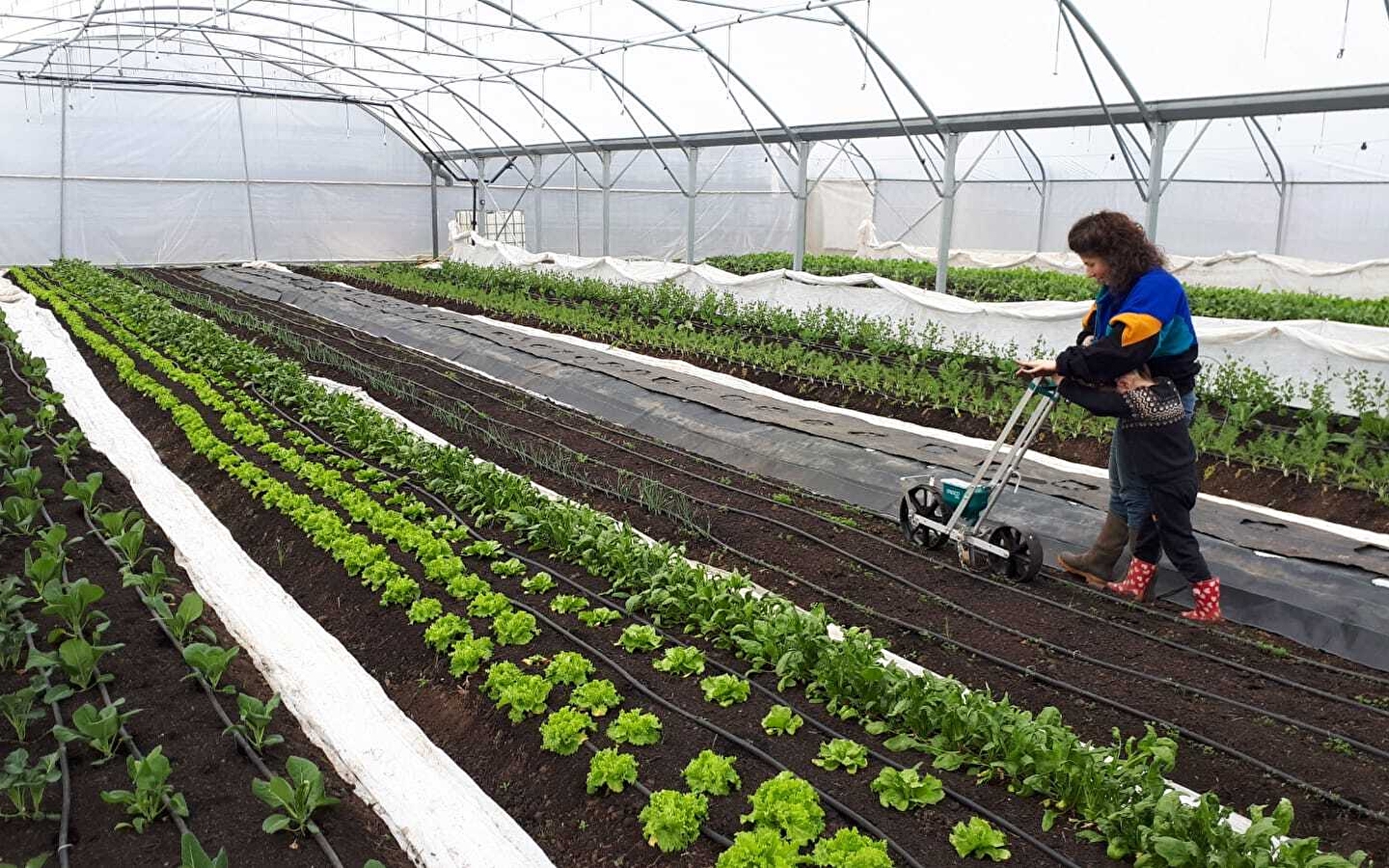 Visite et dégustation Route des Savoir-faire : La Ferme du Ruisseau