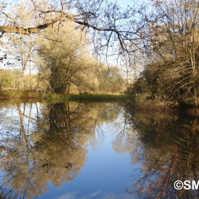 ENS - Marais de Saône