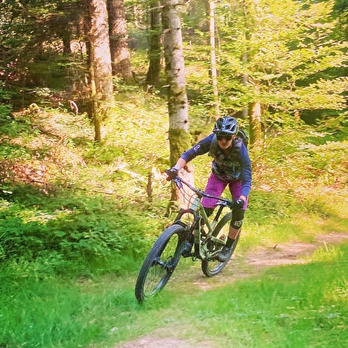 Navettes sur le Bike Park