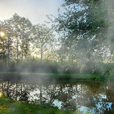 Etang des Pilles