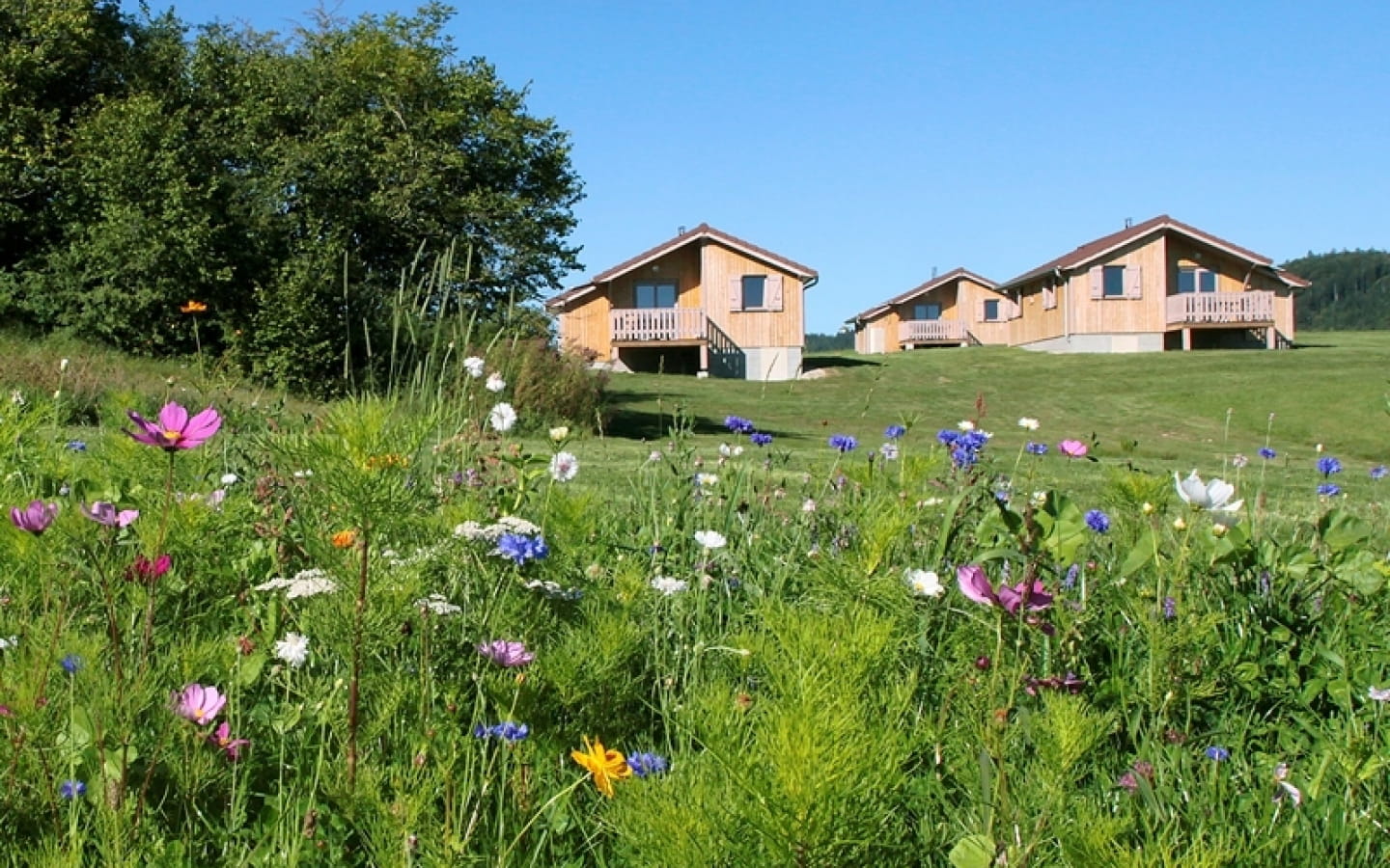 Les Chalets de Trémontagne