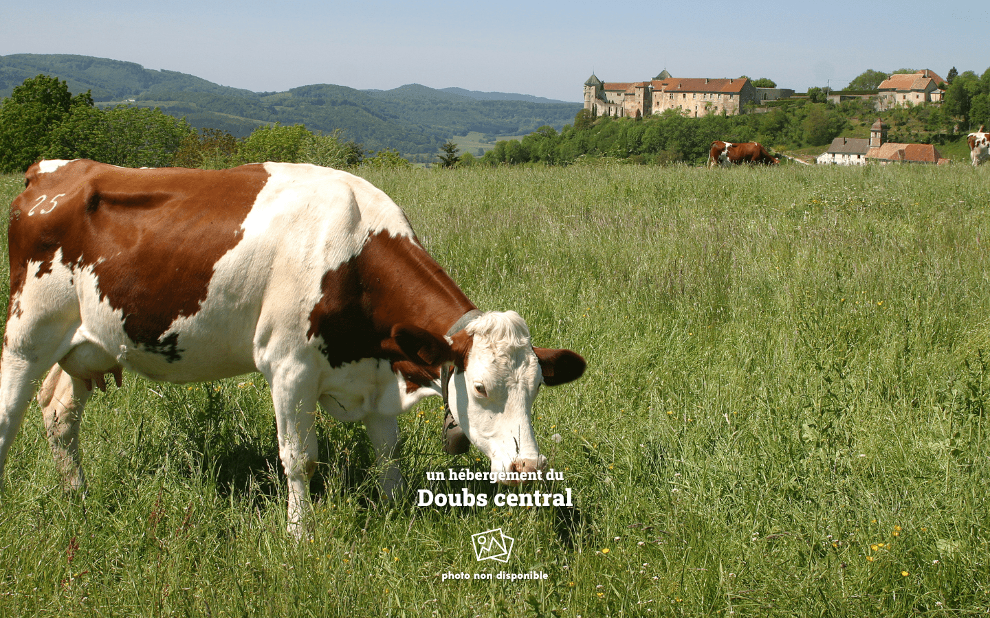 Gite du château de Belvoir