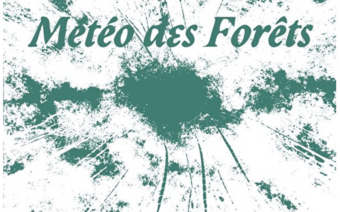 Météo Des Forêts