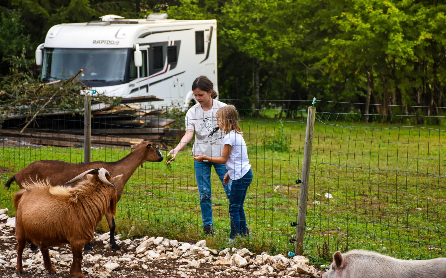 Aire de camping-car - Scierie des lacs