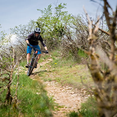 JUAR RIDE - Location de vélo