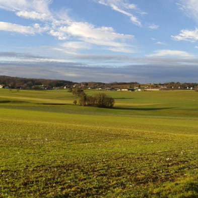 Sur le plateau de l’Ajoie 