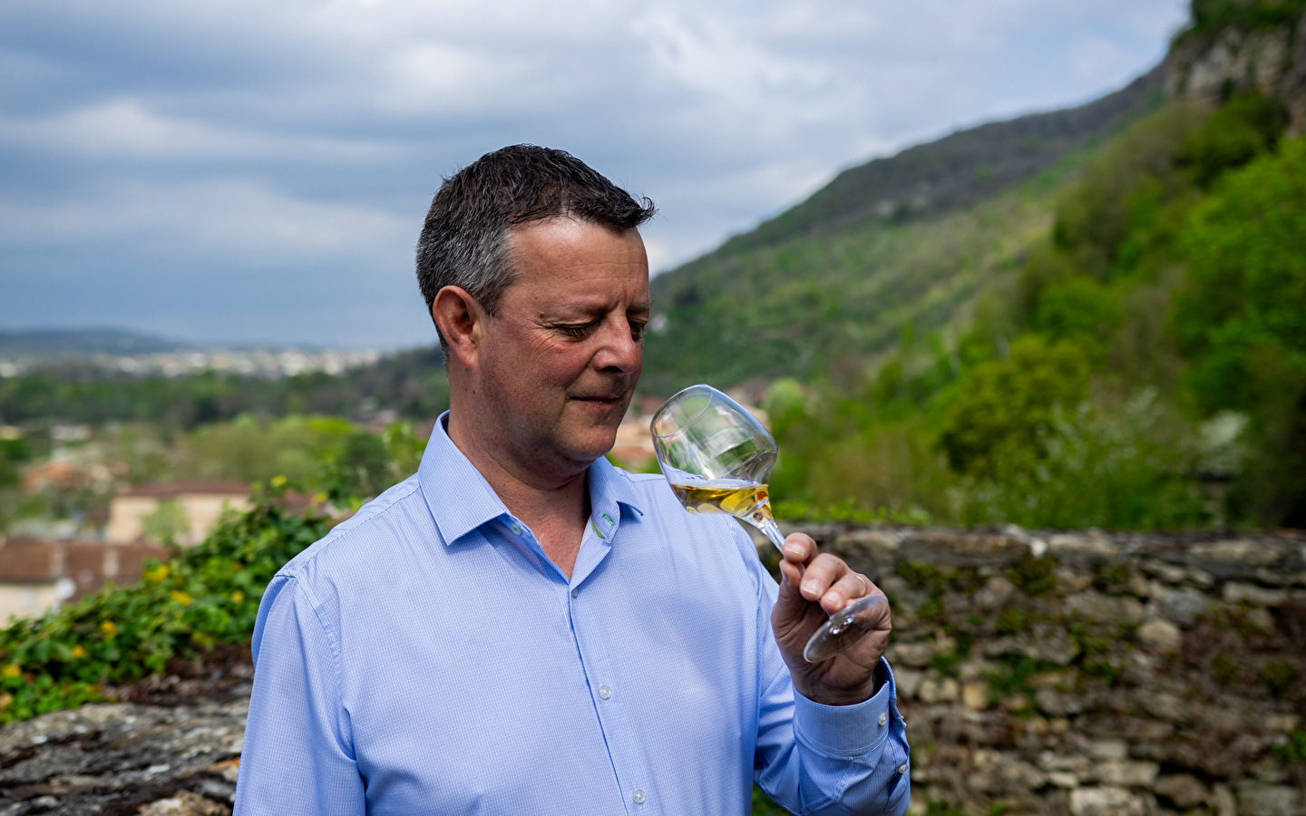Les sens de la vigne - La cave des copains