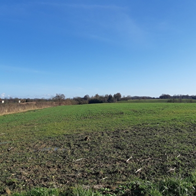 Sur les chemins de St Didier d'Aussiat (Version courte)