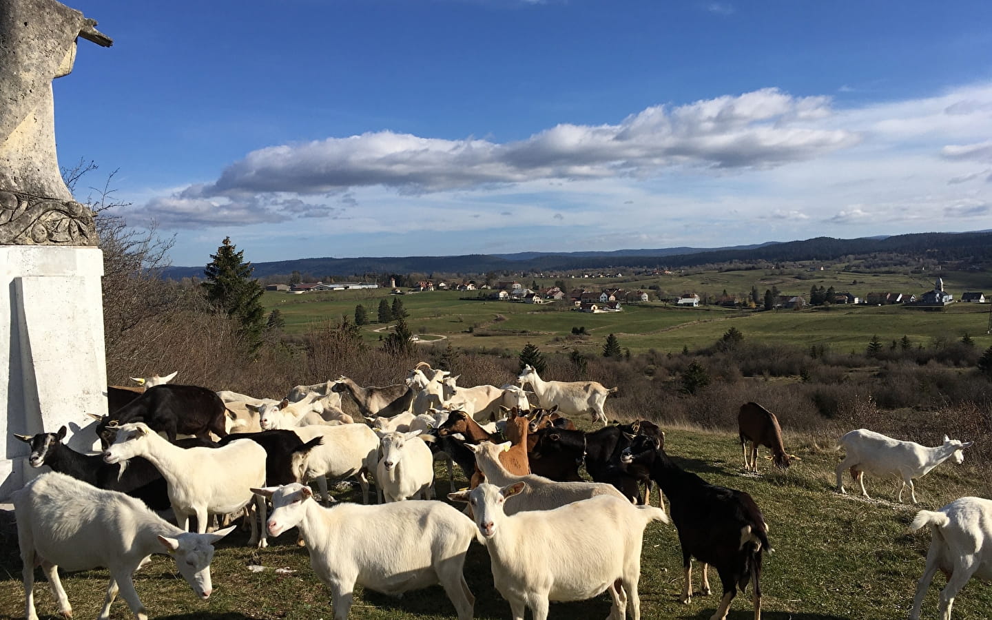 Ferme de la Fruitière