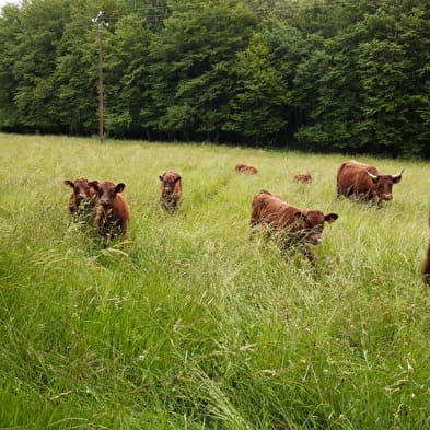 La Ferme de la Côte