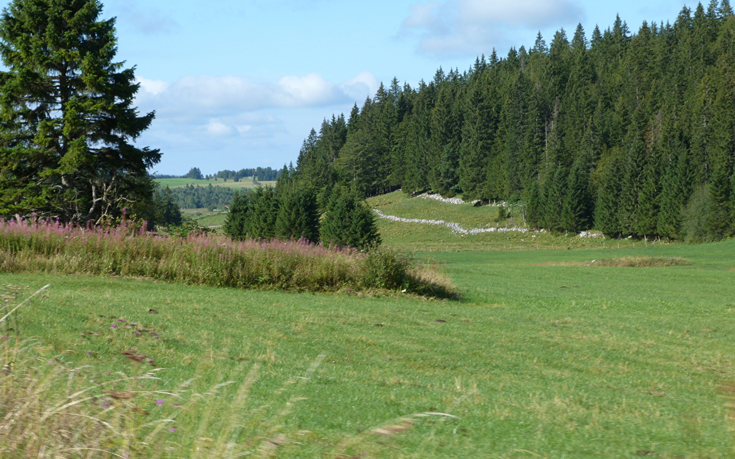 Les Roches