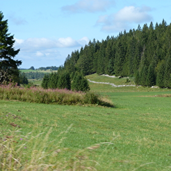 Les Roches - MOUTHE