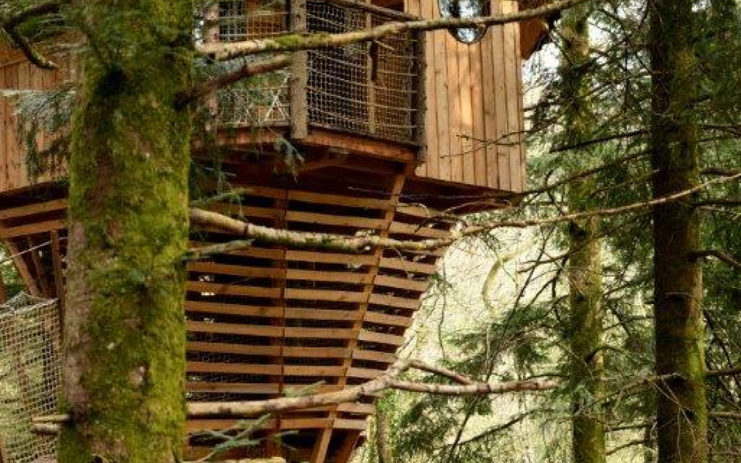 Cabane La Fauconnière