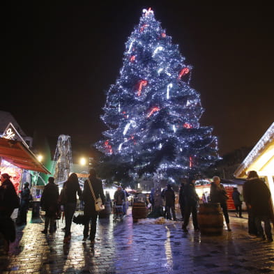 Pain d'épices et boules de neige, le Noël de Barbarine