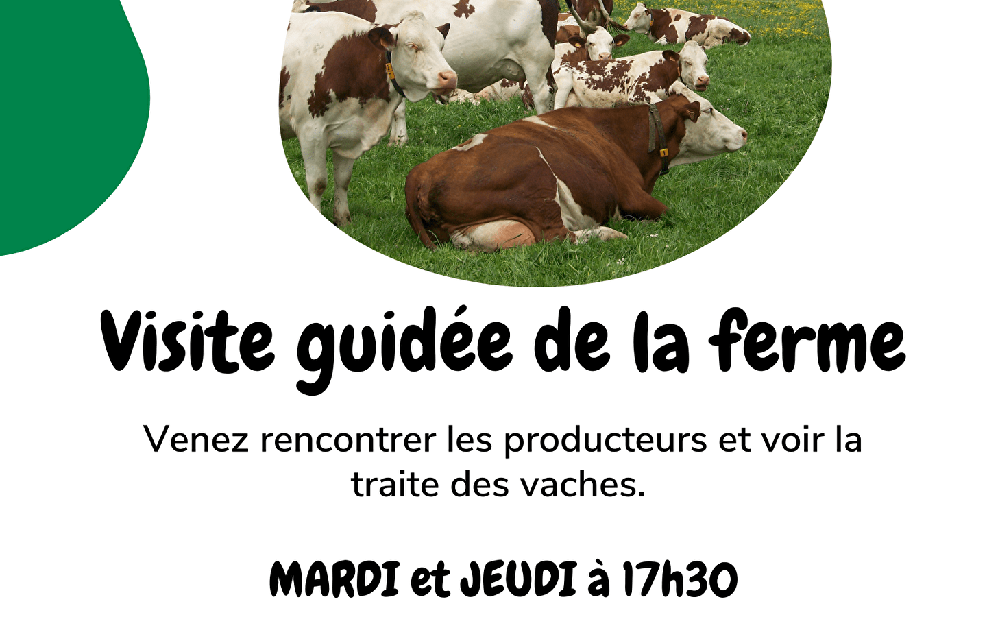 Visite de la ferme