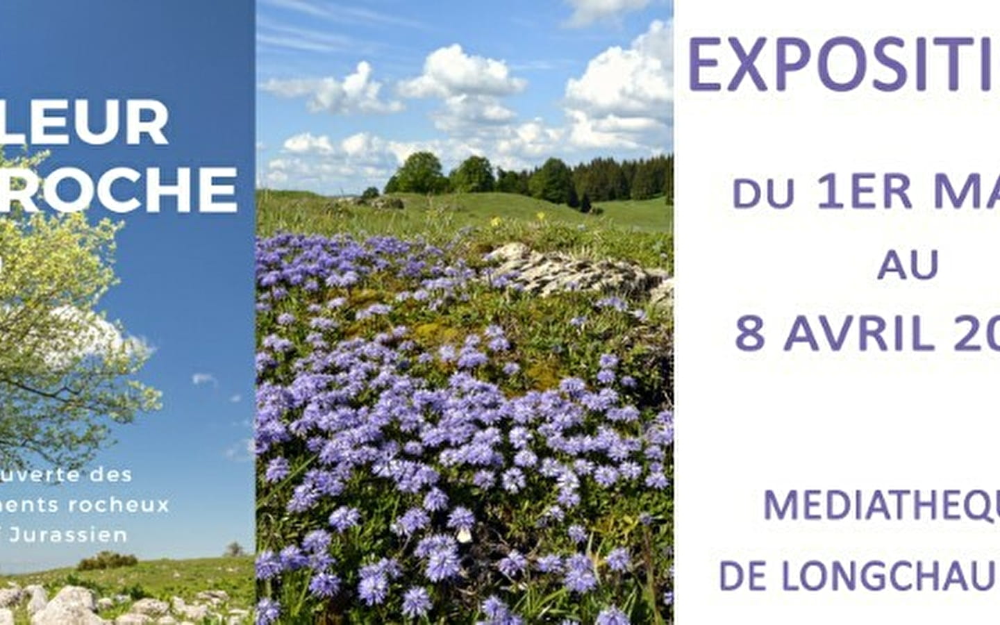 Exposition : À fleur de roche.