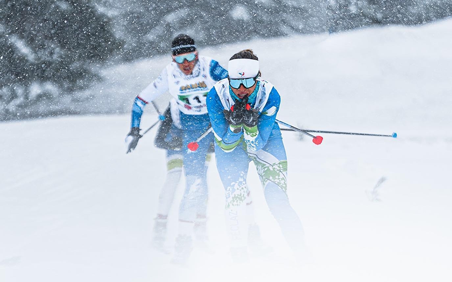 Championnats de France de ski nordique