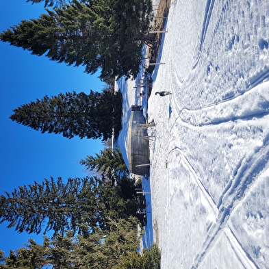 La Guienette - Yourtes